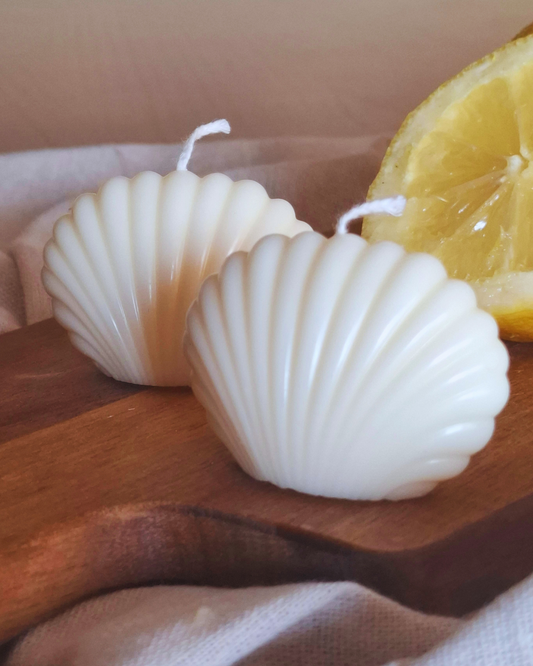 Vela concha do mar